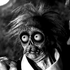 Avatar for knochiklimpi