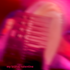 Avatar di blahajvalentine