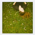 Avatar for HelloLover