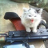 sukwad için avatar