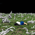 Avatar for kasivagi45