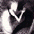 Weltenbrand_ için avatar