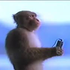 Avatar di ManMonkeyMonday