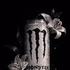 Avatar for Will0w257