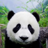 Avatar for Galgazof