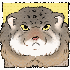 Avatar for Jacoppin