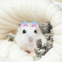 Avatar for WheelyHamsters