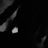 Avatar for SportVVS