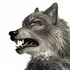 Avatar for remiwolf