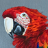 Avatar for sometablu