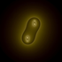 Avatar de JonnyBeGoode