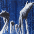 Avatar for packham0