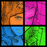 Avatar for Principessa_evy