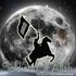 Avatar di Soldiers of Allah