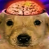 Avatar for maxtank332