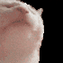Avatar for MrLeere