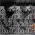 Avatar for Philippe Rivrain - Diaenoxe Band