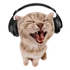 Avatar for IAintPlayinWit