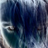 Avatar for SzarrQ