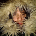 EvanRockledge için avatar