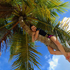Avatar di jess_marion