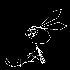 Avatar for LemonAid_osc