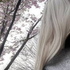 Avatar for cwudle
