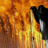 Avatar di SvarteTroner