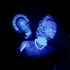 Avatar for HelloHeyHi123