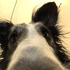 Avatar for kimdragulaa11