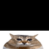 Avatar de DfilmRAM
