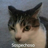 Avatar for LogicalName