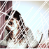 Avatar for wmarianne