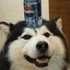 Avatar for McMentos