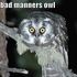 lolcaz için avatar