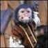 Avatar for Critias334