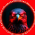 Avatar for smi_falcon