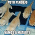 Avatar for Gelente