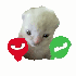 Avatar for ClloudWallkerr