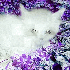 Avatar for dontgiveagaf