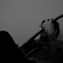 Avatar for ACultOfSadness