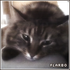Avatar für Flarbo
