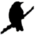 Avatar for blackbirdpl