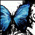 Avatar for Speeder_00