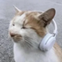 Avatar for musikMouse