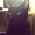 Avatar for Xhed
