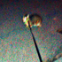 Avatar für Zochy