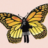 Avatar for labandolero