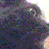 Avatar for GeorgeSousan