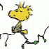 Avatar for vyycwo